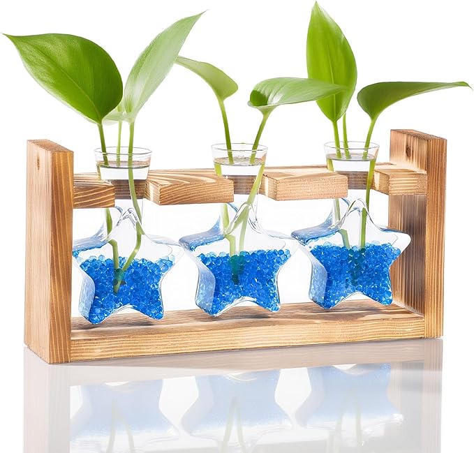 Nacome Star Glass Propagation Stations: Plant Terrarium with Wooden Stand Vase for Home Office Desk Decor, Unique Gifts for Plant Lovers Women Mom
