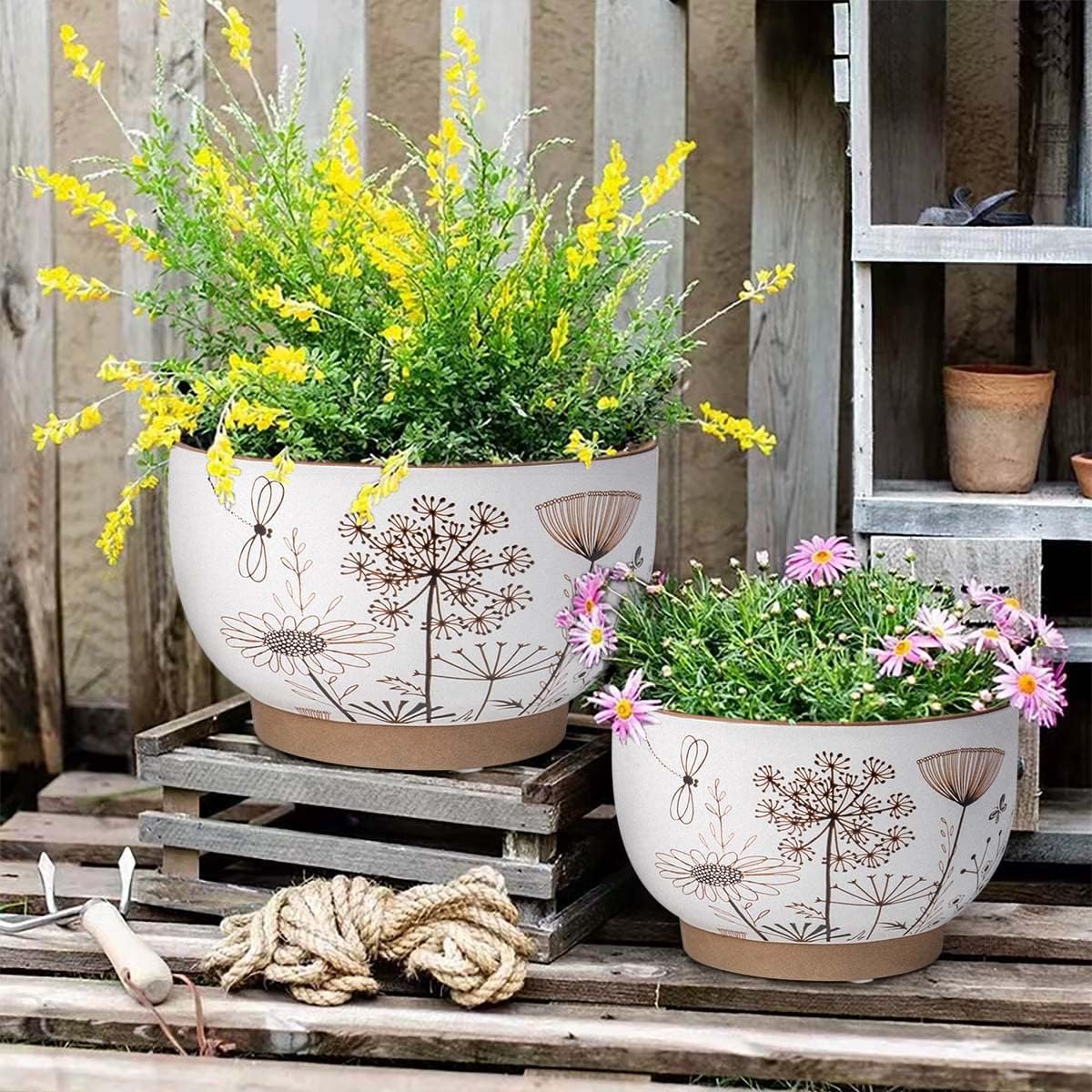 YBX 8 Inch + 6 Inch Ceramic Plant Pots, Succulent Flower Pots with Drainage Holes, Terracotta Planters for Indoor Plants, White&Terracotta (Garden)