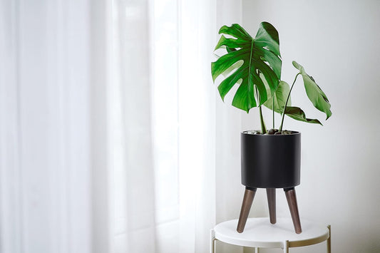 D'vine Dev 8 Inch Planter Pot with Stand, Mid-Century Tall Plant Pot with Legs for Indoor Plants, Small, Black, 88-O-A-2