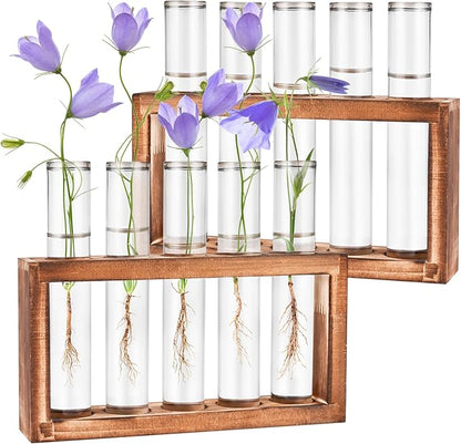 2pcs Desktop Glass Plant Propagation Station with 10 Test Tubes in Wooden Stand - Hydroponic Plants Cutting Office Home Decoration and Garden Decor Terrarium (10 Tubes)