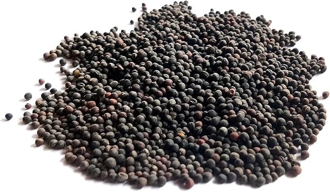 Curled Blue Kale Seeds for Planting – Plant & Grow Heirloom Non-GMO Curled Blue Vates Kale Home Outdoor Vegetable Garden, Brassica oleracea VAR. acephalla – 3 Packets