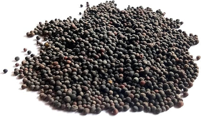 Dwarf Siberian Kale Seeds for Planting – Plant & Grow Heirloom Non-GMO Dwarf Siberian Kale in Home Outdoor Vegetable Garden, Brassica Napus – 3 Packets