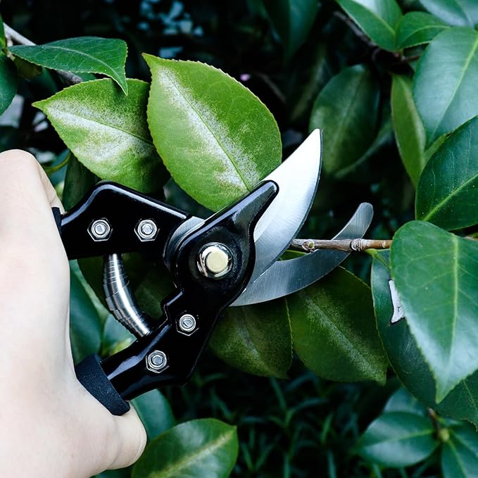Bypass Pruning Shears Garden Clippers, Gardening Scissors with Sharp, Rust Resistant Steel Blade
