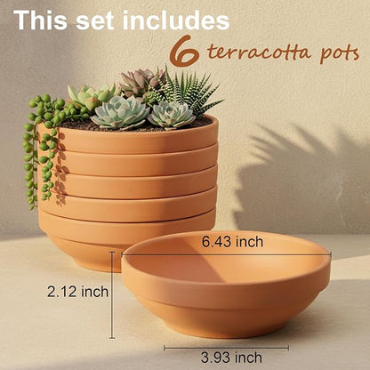 Laergin Terra Cotta Pots, 6.43 Inch Shallow Terracotta Clay Pots with Drain Hole Terra Cotta Plant Pot with Drainage Hole for Indoor/Outdoor Plants, 6 Pack