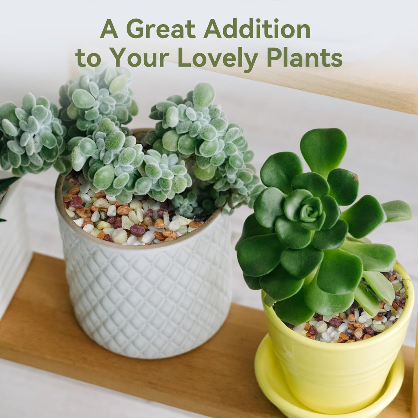 2.5 lbs Pebbles for Indoor Plants, Succulent Rocks, 3/8" Polished Pebbles for Bamboo, Vase, Terrarium, Natural Decorative Small River Rocks for Crafts, Cactus, Outdoor Garden Landscaping