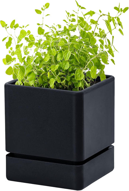 4 Inch Herb Planter Pot, Plastic Planter with Drainage Holes and Saucer, Modern Decorative Gardening Pot for Indoor Plants, Flowers, Herbs, Succulents, Black, Set of 1, 76-Y-B-1