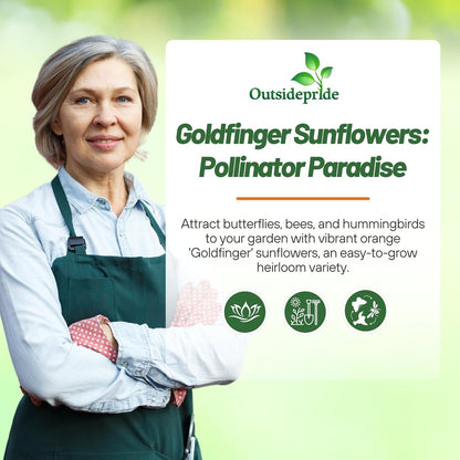 Outsidepride Goldfinger Mexican Sunflower Seeds - 1000 Pcs Annual, Easy-to-Grow, Orange Tithonia Speciosa Flower Seeds w/Drought-Tolerant Blooms for Pollinator Gardens & Vibrant Summer Landscaping