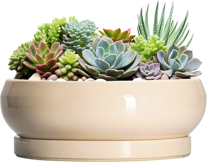 Large Succulent Planters - 13 Inch Ceramic Bonsai Pots Indoor Outdoor, Shallow Planter with Drainage Hole and Tray, Round Planter Bowl, Large Bonsai Pot, Home Decor, Housewarming Gift, Beige