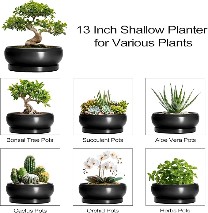 Bonsai Pots 13 Inch - Large Ceramic Succulent Pots with Drainage Hole and Tray, Round Planter Bowl Indoor Outdoor, Modern Shallow Planters, Home Living Room Decor, Gardening Gifts, Black