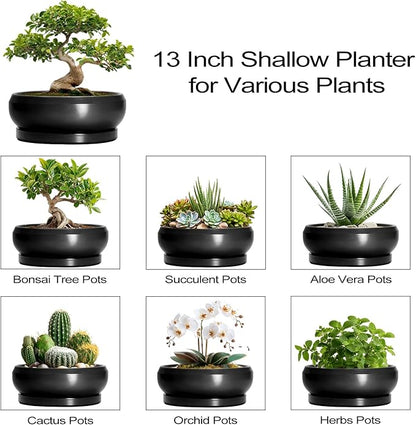 Bonsai Pots 13 Inch - Large Ceramic Succulent Pots with Drainage Hole and Tray, Round Planter Bowl Indoor Outdoor, Modern Shallow Planters, Home Living Room Decor, Gardening Gifts, Black