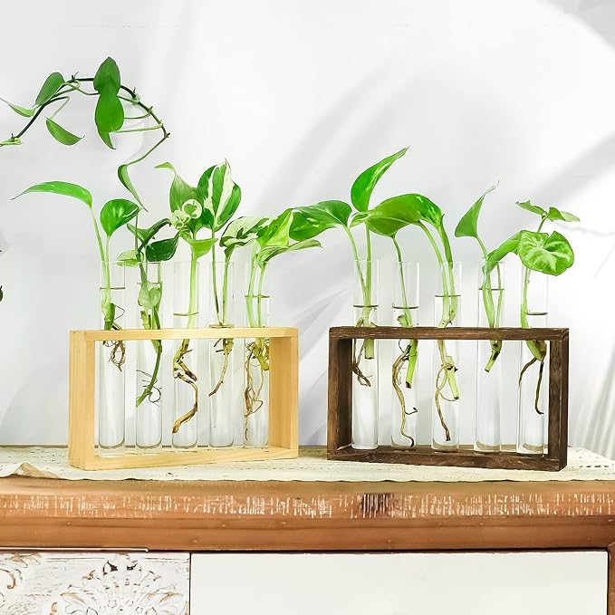 Propagation Station, Plants Terrarium, Plants Lover Gifts for Women,Plant Cutting Holder Home décor,Gifts for Women,House Warming New Home-5 Tubes-Beige