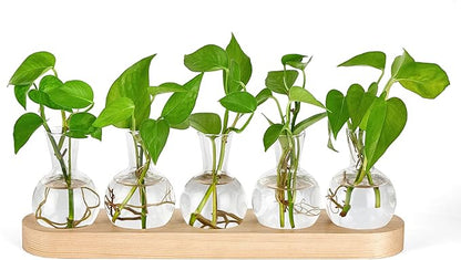 Mkono Desktop Plant Propagation Glass Vase Station Retro Terrarium with Wooden Tray Bulb Flower Container Perfect for Propagating Hydroponic Plants Home Office Decor Lover Gift Idea, Beige (YYBL0035)