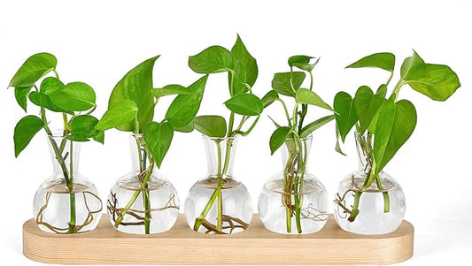 Mkono Desktop Plant Propagation Glass Vase Station Retro Terrarium with Wooden Tray Bulb Flower Container Perfect for Propagating Hydroponic Plants Home Office Decor Lover Gift Idea, Beige (YYBL0035)