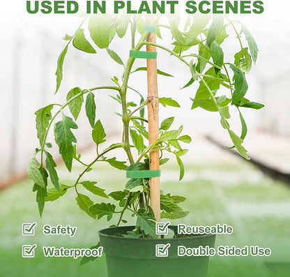 5 Rolls 165 Ft Green Plant Tape for Climbing Plants, 1/2 Inch Reusable Plant Stretch Ties, Adjustable Tomato Plant Supports, Plant Twist Ties for Gardening, Home, Office