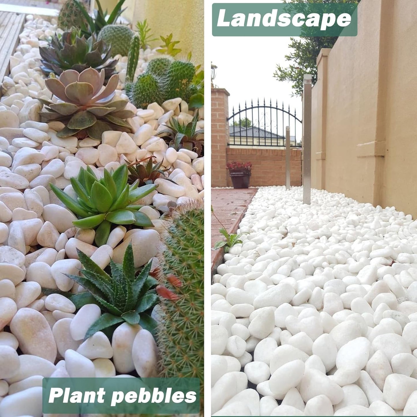 11 Lbs Natural River Rocks for Plants 1.6-2.5 inches Large White Landscaping Garden Stones White Aquarium Gravel Decorative Pebbles for Indoor Outdoor Planters Home Decor