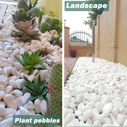 11Lbs Natural River Rocks for Plants 1''-2'' Large Landscaping Garden Stones White Aquarium Gravel for Decorative Pebbles for Indoor Outdoor Planters, Big Terrarium Rocks in Bulk, Home Decor