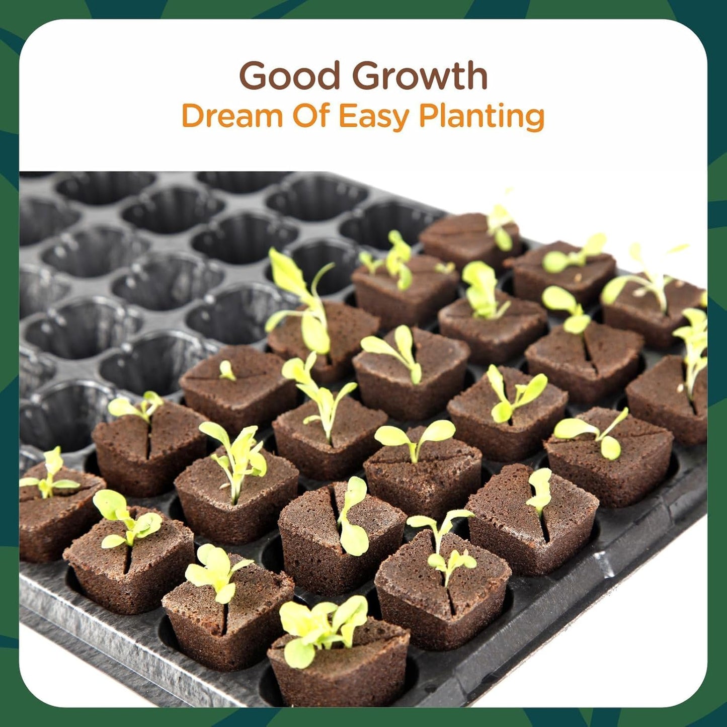 Root Riot, Eco-Friendly Biodegradable Material, Seed Starter Pod, Starter Plugs, 80-Pack, Peat Coconut Coir, Fits Standard Clone Trays, Indoor Outdoor Gardening, Brown