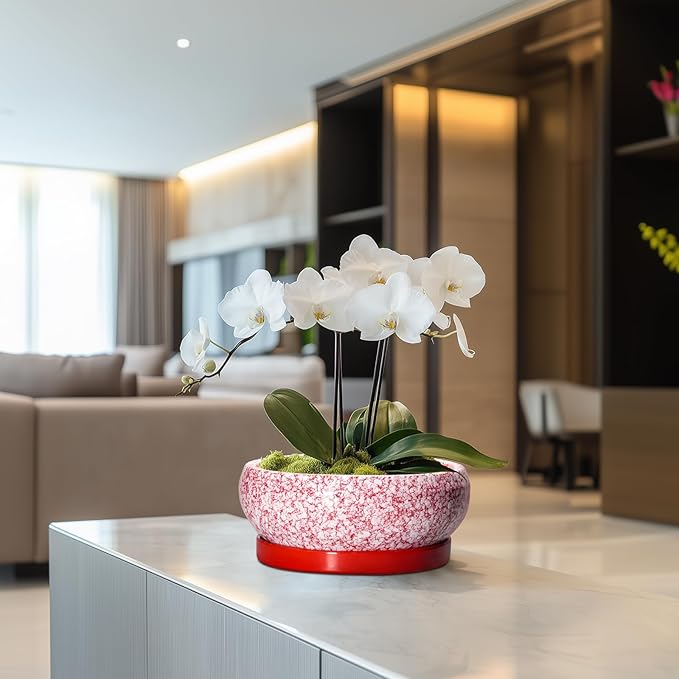 Succulent Pots - 8 Inch Bonsai Pots for Indoor Outdoor, Shallow Ceramic Planter with Drainage Hole and Saucer, Round Flower Succulent Planters, Room Decor, Gifts for Plant Lovers, Red