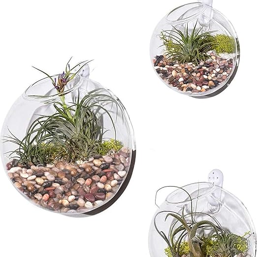 15 lbs River Rocks for Plants, 1-1/2 inch Decorative Garden Rocks Outdoor Landscaping, Large Polished Natural Stone for Walkways, Yard, Vases, Crafts