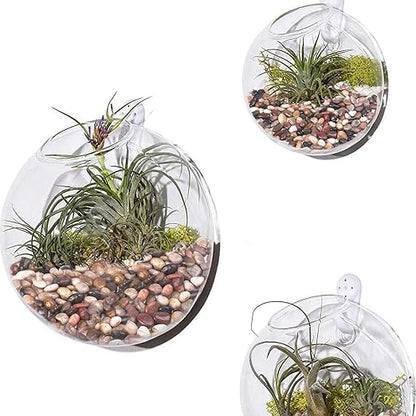 15 lbs River Rocks for Plants, 1-1/2 inch Decorative Garden Rocks Outdoor Landscaping, Large Polished Natural Stone for Walkways, Yard, Vases, Crafts