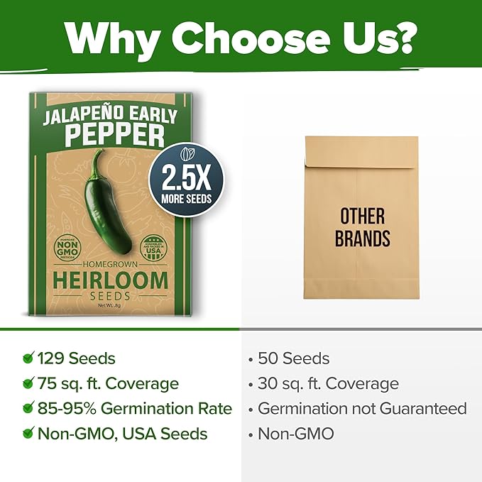 HOME GROWN 𝗨𝗦𝗔 𝗣𝗥𝗘𝗠𝗜𝗨𝗠 Jalapeno Pepper Seeds – 129 𝗡𝗢𝗡-𝗚?𝗢 Heirloom Seeds (Capsicum annuum) – High Germination, Easy to Grow, Early Harvest Hot Peppers