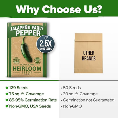 HOME GROWN 𝗨𝗦𝗔 𝗣𝗥𝗘𝗠𝗜𝗨𝗠 Jalapeno Pepper Seeds – 129 𝗡𝗢𝗡-𝗚?𝗢 Heirloom Seeds (Capsicum annuum) – High Germination, Easy to Grow, Early Harvest Hot Peppers