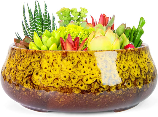 ARTKETTY Succulent Pots - 8 Inch Plant Pot, Large Bonsai Pots with Drainage, Ceramic Planters for Indoor Outdoor Plants, Round Shallow Cactus Flower Plant Container Bowl Decorative Home Garden