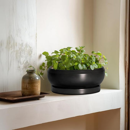 Succulent Planters 8 Inch - Ceramic Bonsai Pots for Indoor Outdoor, Round Succulent Pots with Drainage Hole and Saucer, Modern Shallow Planter Bowl, Garden Home Decor, Birthday Gifts, Black