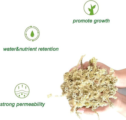 Halatool 6OZ Natural Sphagnum Moss for Plants 8 QT Premium Peat Moss Dried Long Fiber Orchid Moss for Orchid Repotting Carnivorous Succulents Garden Flowers Crafts Terrarium and Reptiles