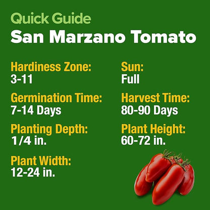 HOME GROWN San Marzano Tomato Seeds – 66 Heirloom, 𝗡𝗢𝗡-𝗚𝗠𝗢, 𝗨𝗦𝗔-𝗦𝗢𝗨𝗥𝗖𝗘𝗗 Seeds – High Germination Tomatoes for Indoor & Outdoor Growing – Classic Paste Variety for Gardeners & Home Use