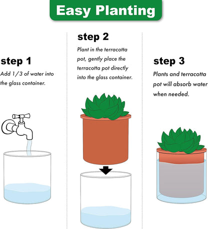 Phoenix Vine 4 Inch 6 Inch Self Watering Plants Pots, Design Terracotta Pots for Plants, Indoor Cylinder Terra Cotta Planter with Glass Vase Set, 51-A-G-46