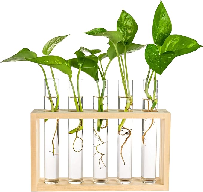 Wooden Propagation Station with 5 Glass Test Tubes, Tabletop Glass Terrarium Holder for Plant Cuttings Hydroponics, Home Office Desk Decor Gift for Women Mom Plant Lovers, Beige