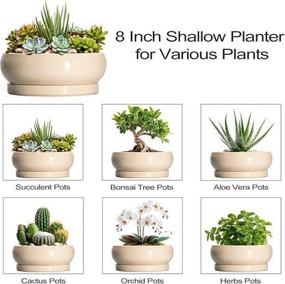 Succulent Pots 8 Inch - Ceramic Bonsai Pots with Drainage Hole and Tray, Shallow Plant Pot Indoor Outdoor, Bonsai Tree Pot, Round Modern Planter Bowl, Garden Decor, Gardening Gift, Beige