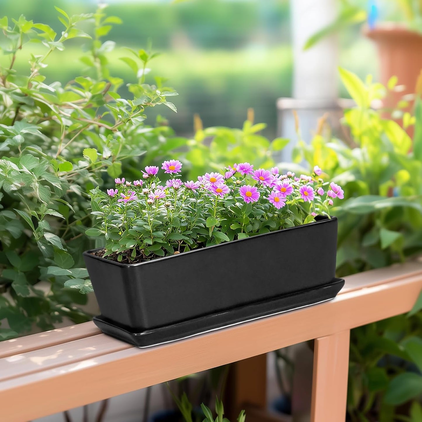 SQOWL Rectangle Planter - 10 Inch Ceramic Plant Pots with Drainage Hole and Saucer, Rectangular Succulent Planters for Indoor Plants, Flower Cactus Herb Pots Outdoor, Room Decor, Garden Gifts, Black