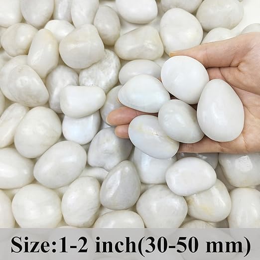 2 lbs Polished White Pebbles for Pebbles, 1-2 Inch Smooth White River Rocks for Plants Potted Vases Fillers Fish Tank Landscaping and Outdoor Garden Decorative Rocks