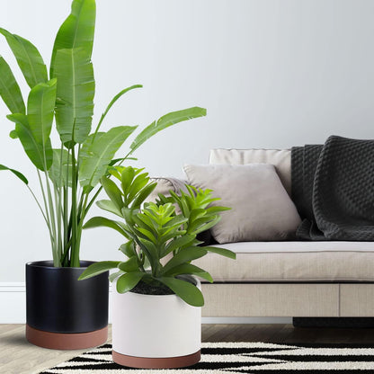 2 Pack Ceramic Plant Saucer Pot Tray 8 Inch, Planter Saucers 4 5 6 7 8 9 10 11 12 13 Inch for Indoors Outdoor, Durable Sturdy Flower Drainage drip Water Tray for Glazed Pots Base (8.5 Inch-Brown)