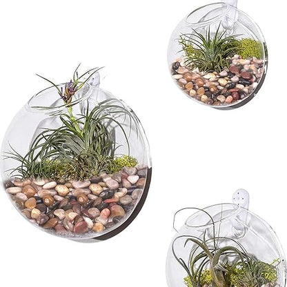 5 Pound Decorative Rocks for Planters, 1"- 1 1/2", Pebbles for Indoor Plants, Vases, Polished Stones for Garden and DIY Decor