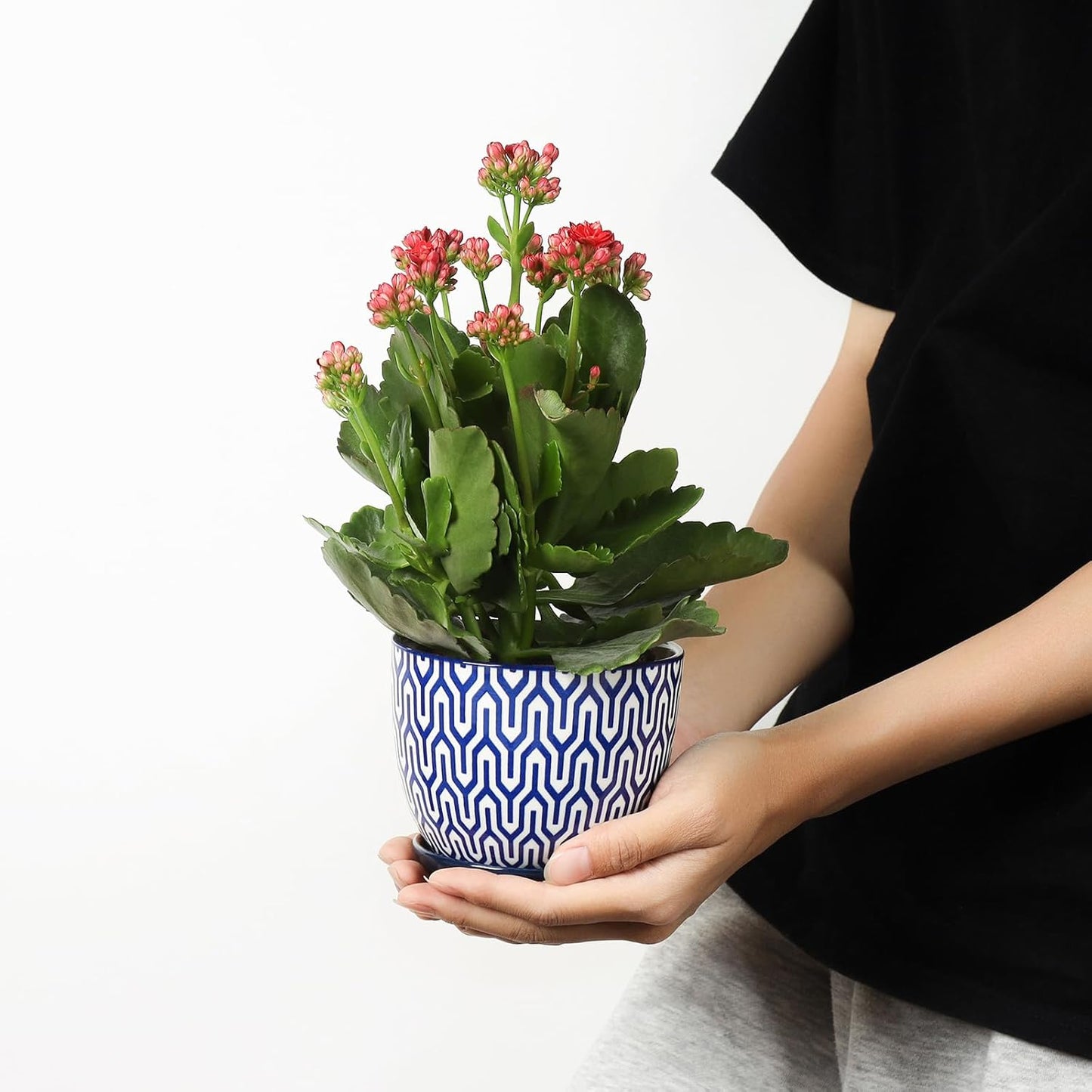 Selamica Ceramic Plant Pots, 4.6 Inch Flower Pots for Indoor Plants, Succulent Pots with Drainage Hole & Saucer, Succulent Planters for Succulent Cactus, Home Decor, Set of 4, Vintage Blue