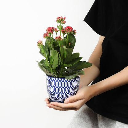 Selamica Ceramic Plant Pots, 4.6 Inch Flower Pots for Indoor Plants, Succulent Pots with Drainage Hole & Saucer, Succulent Planters for Succulent Cactus, Home Decor, Set of 4, Vintage Blue