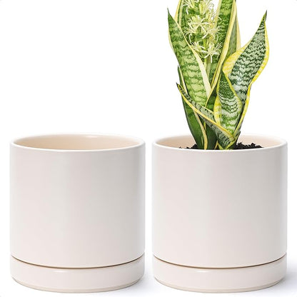 D'vine Dev Set of 2 Plants Pots, 6.5 Inch Ceramic Planter Pot for Plants with Drainage Hole and Saucer, Oatmeal, 94-V-C-8