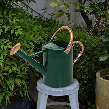 Metal Watering Can with Removable Spout, Galvanized Watering Can, Perfect for Indoor Use and for Outdoor Use (1 Gallaon, Green)