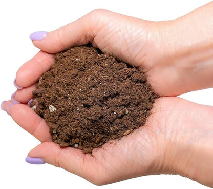 Gardenera Premium Pothos Potting Soil Mix - Air Cleaning Plant Mix, for Pothos, Parlor Palm, Peace Lily (5 Quart Bag) Pothos Potting Mix