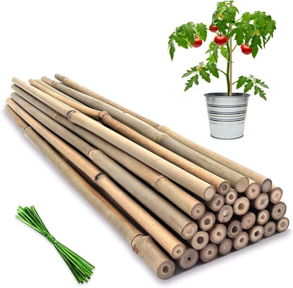 Plant Stakes,16 Inches Natural Garden Bamboo Sticks,BOVITRO 20Pcs Plant Support Stakes for Tomatoes,Beans,Vegetable and Potted Plants