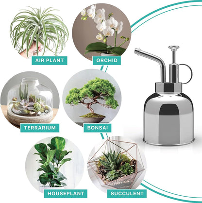 Plant Mister Spray Bottle Stainless Steel Watering Can for Indoor Plants Succulent Bonsai Garden Houseplant Spritzer Modern Garden Tools 10oz/300ml (Silver)
