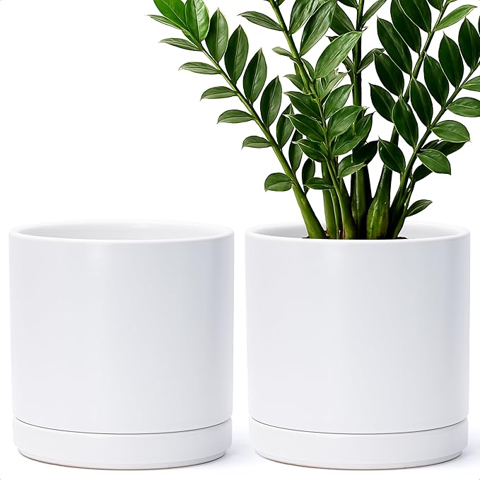 D'vine Dev Set of 2 Plants Pots, 8.2 Inch Ceramic Planter Pot for Plants with Drainage Hole and Saucer, White, 94-V-D-1