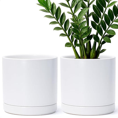 D'vine Dev Set of 2 Plants Pots, 8.2 Inch Ceramic Planter Pot for Plants with Drainage Hole and Saucer, White, 94-V-D-1
