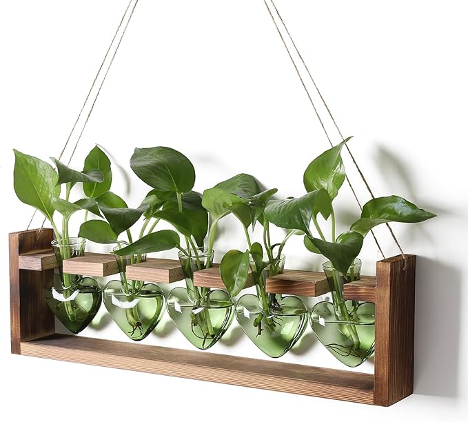 Plant Terrarium Hanging Propagation Stations Gift for Women Air Plants Holder with Wooden Stand Heart Glass