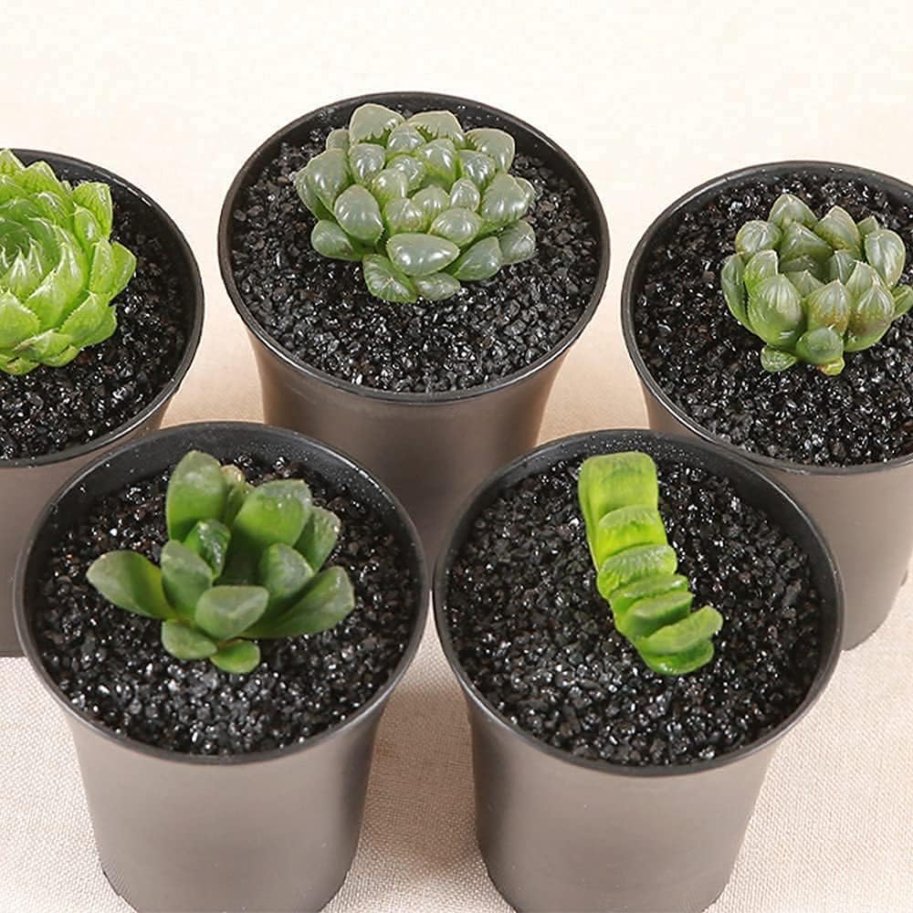 7lb Black Cactus Pea Gravel Rocks,1/4 Inch Pebbles for Indoor Plants, Natural Succulent Rock and River Rocks Decorative for Aquariums, Vases, Outdoor Gardening, Top Dressing for Potted Plants