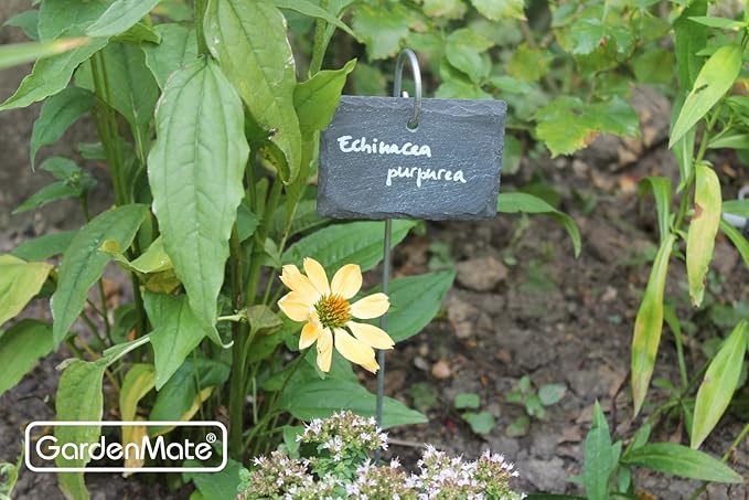 GardenMate 5-Pack Natural Style Slate Plant Labels (4"x 2 3/4") Hanging from a Stainless Steel Metal Rod (17")