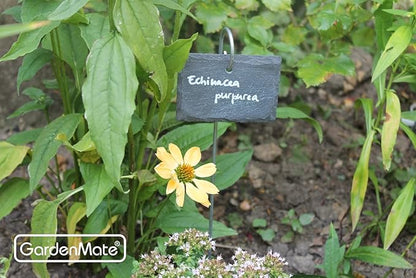 GardenMate 5-Pack Natural Style Slate Plant Labels (4"x 2 3/4") Hanging from a Stainless Steel Metal Rod (17")